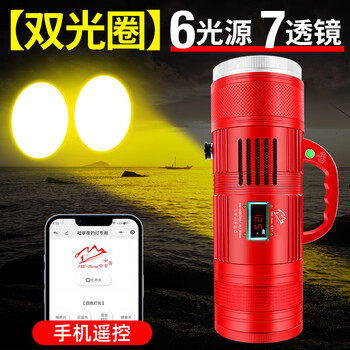 哈拿钓鱼灯专用夜钓大功率无光衰超长续航强光超亮黑坑诱鱼台钓照明 红色H2003Pro+钓皇眼Max 灯+灯包+充电器+2米电缆