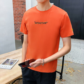 垚耐（YAONAI） 短袖 男士T恤 A1012砖红 