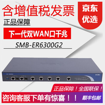 ER6300G2