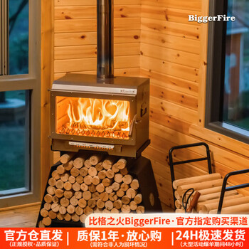 比格之火户外柴火炉真火炉取暖火炉营地氛围炉室内壁炉取暖炉阳光房氛围炉 大壁炉