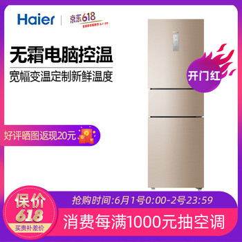 海尔（Haier）BCD-220WDVL