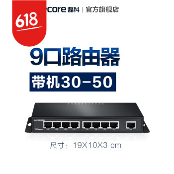 磊科238路由器