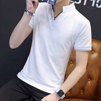 罗杰生 短袖 男士t恤 8010白色 - 京东