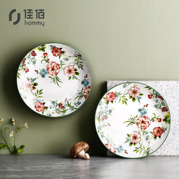 佳佰 美式彩绘2个装8英寸汤盘饭盘菜盘子 深盘定制陶瓷餐具 可入微波炉