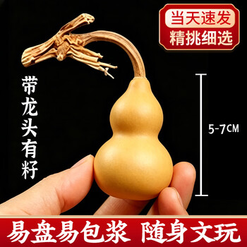 庄子然天然葫芦文玩挂摆件文房精品把玩手捻葫芦 5-7cm葫芦带龙头（一个装）