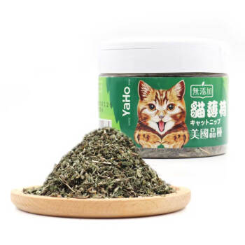 YAHo亚禾 猫零食 猫薄荷20g*罐 猫草薄荷吐毛球口腔清新猫咪零食