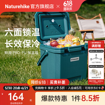 Naturehike挪客鲸渔PRO保温箱 户外露营野餐保鲜保冷收纳盒大空间车载储物箱 湖绿/17L