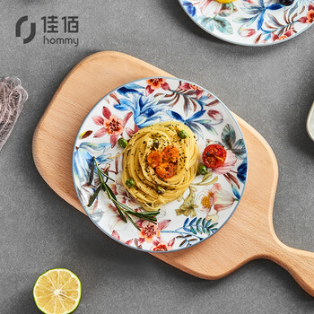 佳佰 美式彩绘 陶瓷餐盘8英寸2个装饭盘意大利面盘 菜盘子牛排盘 西餐盘陶瓷餐具