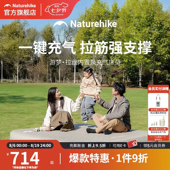 Naturehike挪客游梦拉丝内置泵充气床垫PVC户外露营防潮垫自动充放气垫床 双人/内置泵/20cm