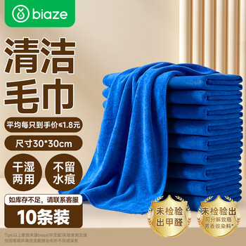 毕亚兹家政抹布30*30cm10条厨房洗碗擦车毛巾加厚保洁拖地布清洁卫生