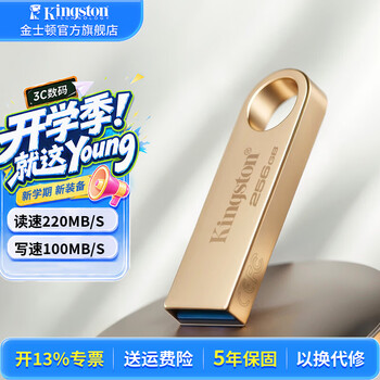 金士顿（Kingston）u盘 USB 3.2/Gen 1 DTSE9-G3办公哨兵车载行车记录仪投标高速金属优盘学生送老师 256G【读速220MB/s丨写速100MB/s】