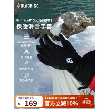 黑冰（BLACKICE）手套金标P棉滑雪手套骑行冬季男女户外保暖手套Z2306 S