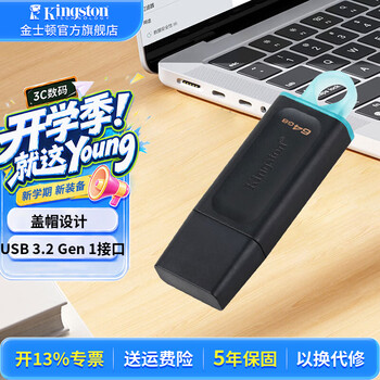 金士顿（Kingston） u盘 USB3.2/Gen 1 高速哨兵车载行车记录仪闪存优盘学生送老师 DTX/64GB【盖帽设计】