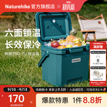 Naturehike挪客鲸渔PRO保温箱 户外露营野餐保鲜保冷收纳盒大空间车载储物箱 湖绿/17L