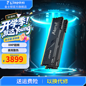金士顿（Kingston） 内存条DDR4 3600台式机电脑内存条 骇客神条 beast野兽系列 3600频 32G(16G×2)电竞套条