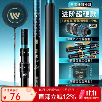 王者神剑四代抄网