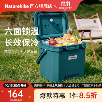 Naturehike挪客鲸渔PRO保温箱 户外露营野餐保鲜保冷收纳盒大空间车载储物箱 湖绿/17L