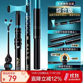 王者神剑四代支架