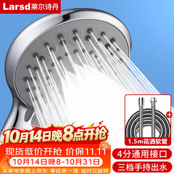 莱尔诗丹（Larsd）手持花洒套装  淋浴花洒套装 三挡洗澡莲蓬喷头花洒2件套LD3513 