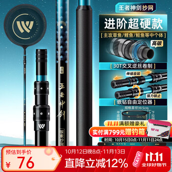 王者神剑四代抄网