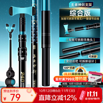 王者神剑四代支架