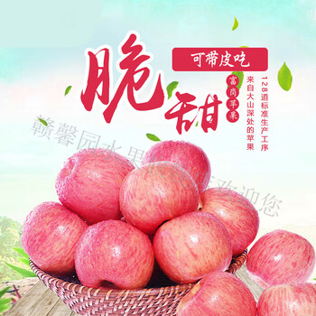 邢台富岗苹果 河北太行山苹果浆水富岗富士新鲜多汁脆甜当季水果 10斤