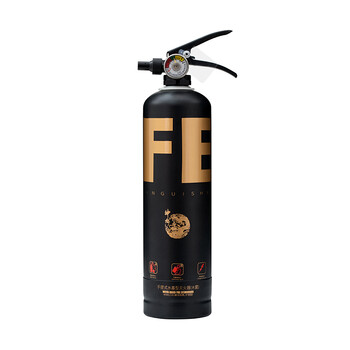 神龙 灭火器 灭霸 水基(水雾)不锈钢环保灭火器2升 SAFE版黑金款 车载家用商用灭火器2L MSWZ/2B 消防器材