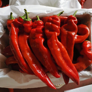 山东新鲜大红尖椒红辣椒农家批发红椒虎皮红椒剁椒辣椒酱红辣椒泡椒 5