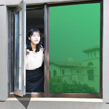 雷光(revguen)单向透视玻璃贴膜单面透光外面看不见里面窗户贴纸家用