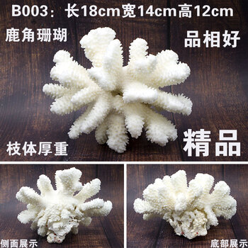 天然珊瑚石摆件排行榜 天然珊瑚石摆件十大排名推荐 京东