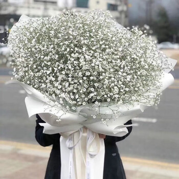 满味园鲜花速递满天星礼盒情人节礼物蓝色粉色满天星戴安娜混搭花束全国沈阳成都武汉北京同城花店送花上门粉色满天星礼盒 图片价格品牌报价 京东 满味园鲜花速递满天星礼盒情人节礼物蓝色粉色满天星戴安娜混搭花束全国沈阳成都武汉北京同城花店送花上门粉色满天星礼盒 图片价格品牌报价 京东