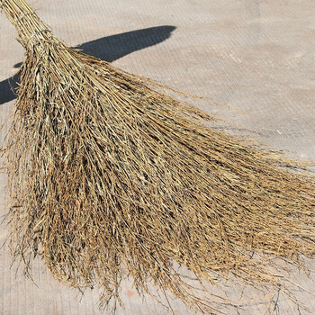 戎誓竹扫把大扫把扫院子大号马路扫帚 竹扫3.5斤一体式