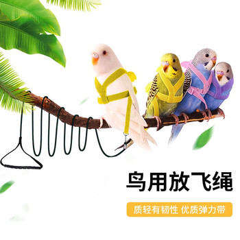 【ti n ti鸟用学习机】ti n ti 鸟用学习机 鸟用学话复读机鹦鹉学舌学