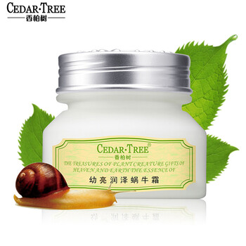 cedar,cedar,tree,怎么样,香柏树,tree,补水,香柏树