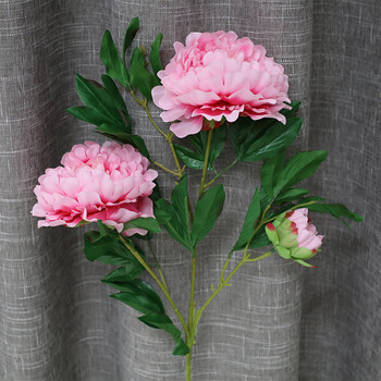 落地花牡丹排行榜 落地花牡丹十大排名推荐 京东