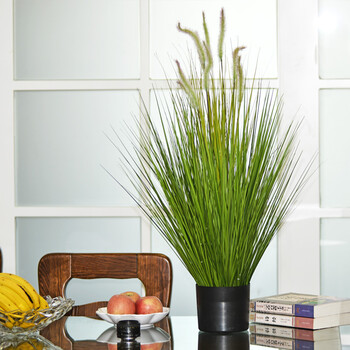 盆栽芦苇怎么样好用吗?