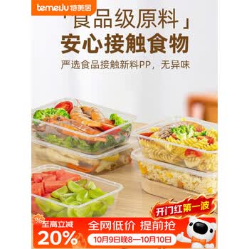 特美居（temeiju）一次性饭盒 食品用快餐盒野餐打包盒可微波碗带盖方形500型*10套