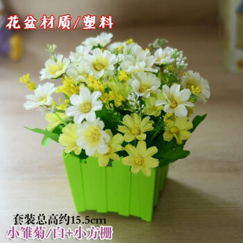 花盆摆设哪款好 花盆摆设怎么样好用吗 京东 花盆摆设哪款好 花盆摆设怎么样好用吗 京东
