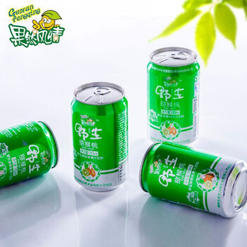 南地方特产 产地直发 办公室零食奇异果片猕猴