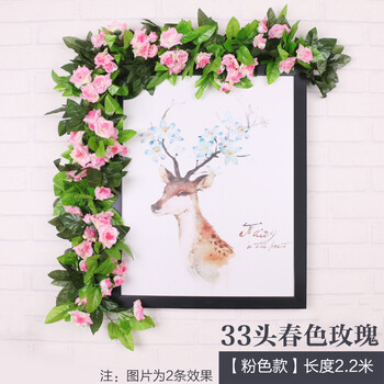 蔓藤植物排行榜 蔓藤植物十大排名推荐 京东