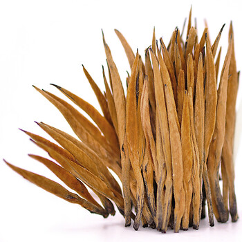 松针茶叶怎么样好用吗?