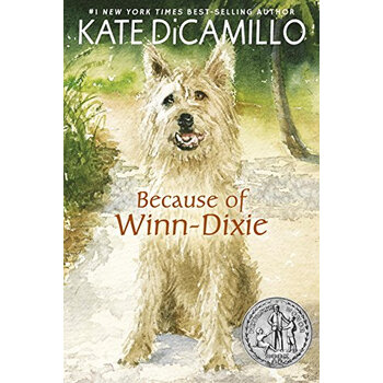 because of winn-dixie