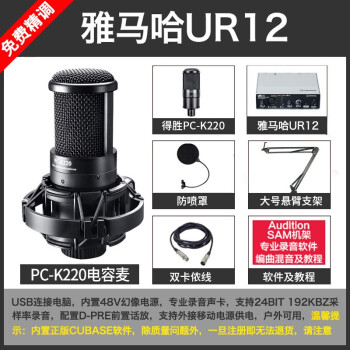 得胜（TAKSTAR）  悬挂式 麦克风 K220+雅马哈UR12录音专用套装