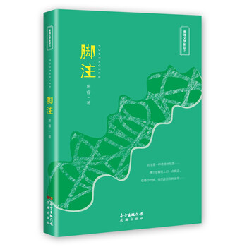 脚注简介读后感 经典语录书评 京东