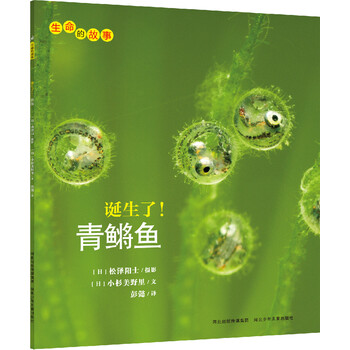 生命的故事