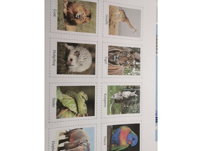 聊一聊佳能G3833和惠普tank672哪个好？区别很大吗如何选？ 观点 第5张