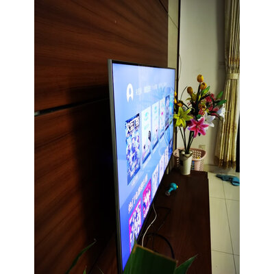 重要提醒LG OLED65A1PCA电视怎么样使用感受，多少人入手了后悔？