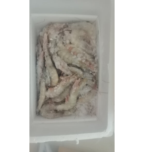 沃鲜汇 虾 国产青岛大虾 青虾白虾海虾基围虾冷冻生鲜 虾类 海鲜水产 16-17厘米(特大号) 盐冻4斤装