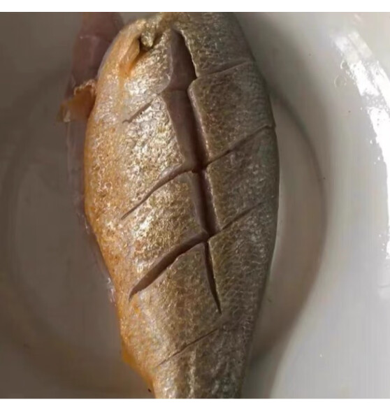 往牧 黄花鱼 500g一条 活冻大黄鱼 生鲜鱼类 海鲜水产 烧烤食材 3条装 500g*3条（共1500g）
