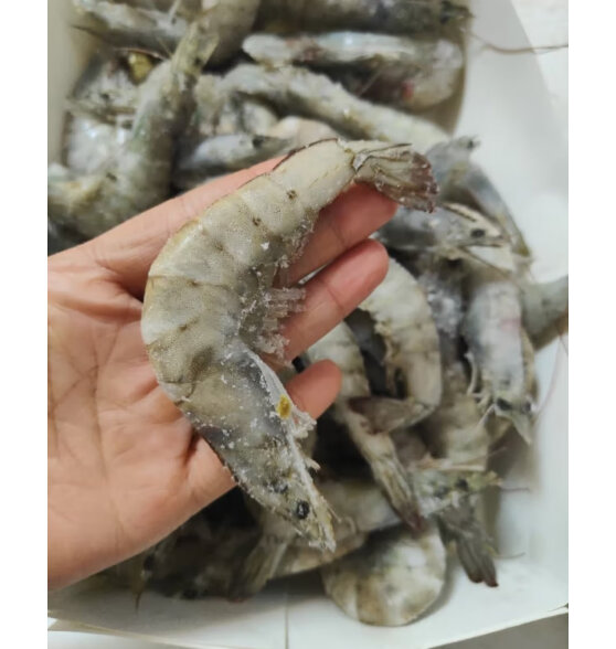 沃鲜汇 虾 国产青岛大虾 青虾白虾海虾基围虾冷冻生鲜 虾类 海鲜水产 16-17厘米(特大号) 盐冻4斤装